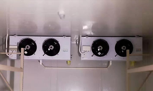 速冻架