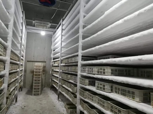 铁岭冷库安装的步骤是什么样的？从3个方面一起来看